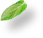 img-fruit8 img-fruit8