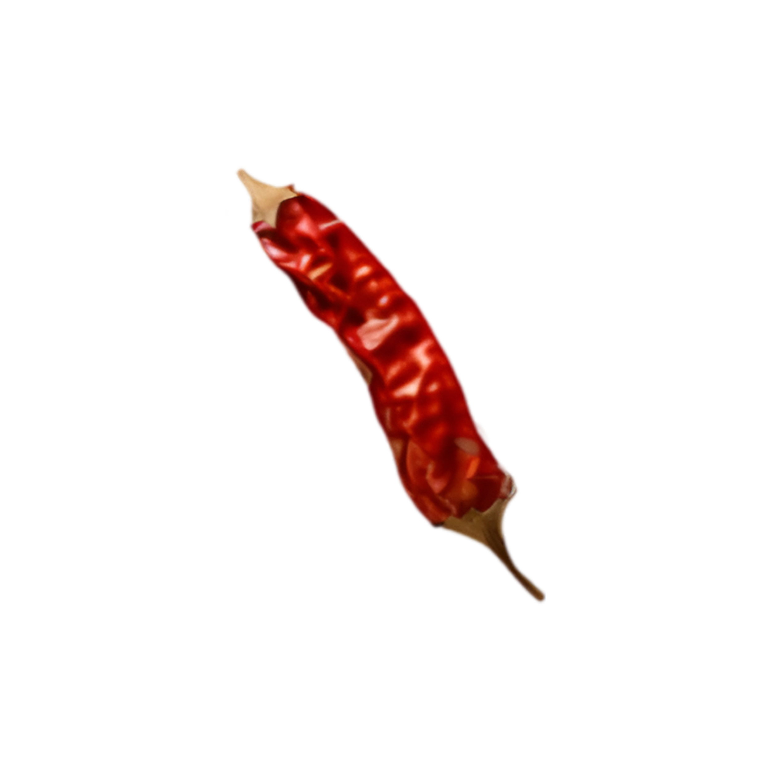 Chilli 1